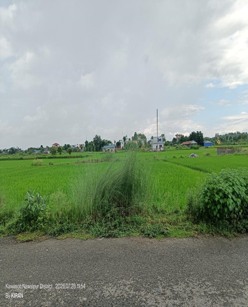 land at Kawasoti